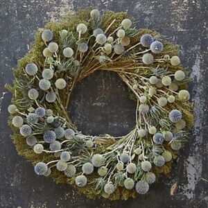 Anthropologie Sweet Anne and Echinops Wreath NIB